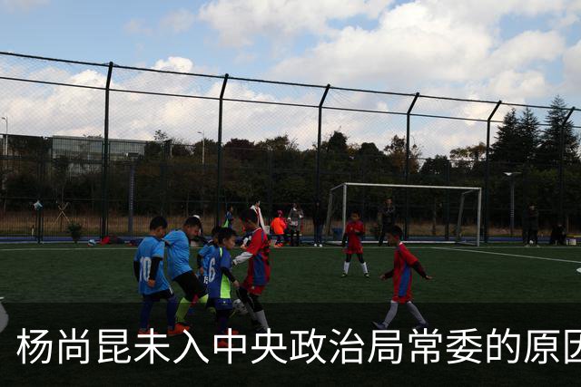 杨尚昆未入中央政治局常委的原因探讨